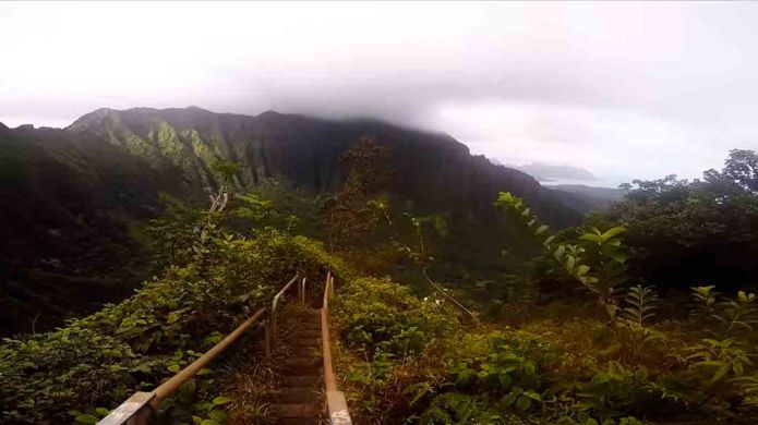 Trail Haiku: mysterious ..ladder to heaven.. in Hawaii